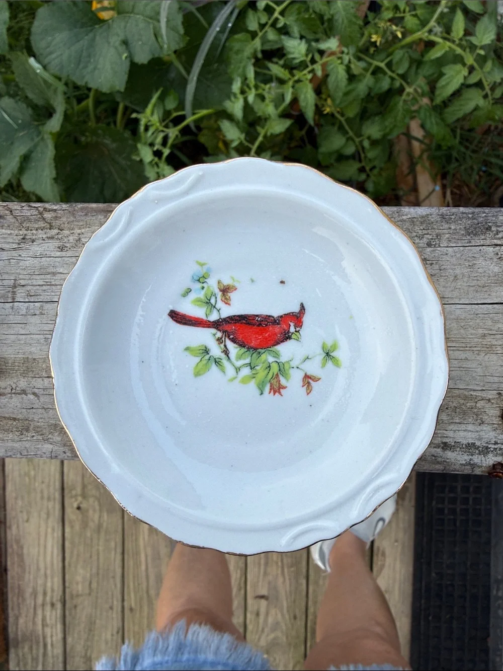 Vintage Lefton White Porcelain Pitcher with Red Cardinal and Gold Trim